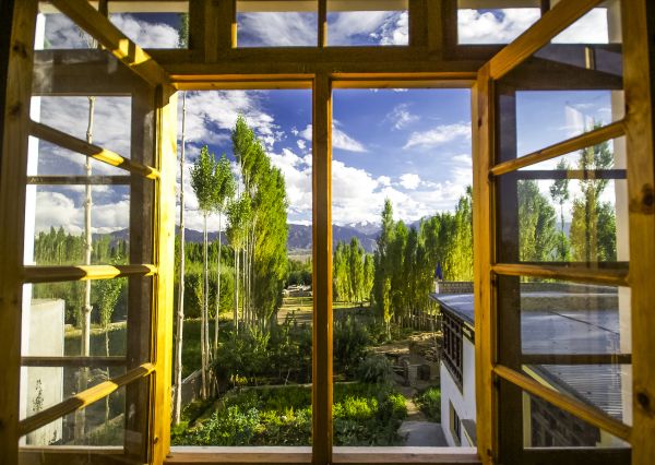 Cost of Wood Window Replacement in Fond Du Lac